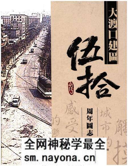 《大渡口建区五十周年区志》.pdf电子版_重庆市志预览图 《大渡口建区五十周年区志》.pdf电子版_重庆市志预览图