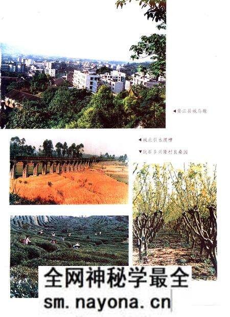 《垫江县志》.pdf电子版_重庆市志预览图4 《垫江县志》.pdf电子版_重庆市志预览图4