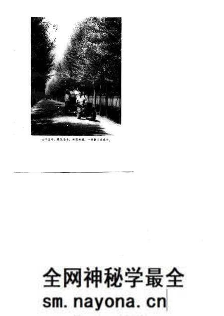 1976版农业学大寨先进典型  涡阳大地披绿装.pdf电子版_安徽省志预览图2
