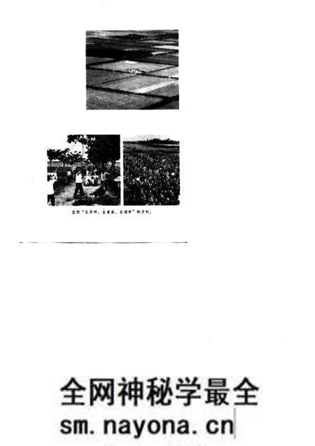 1976版农业学大寨先进典型  涡阳大地披绿装.pdf电子版_安徽省志预览图5