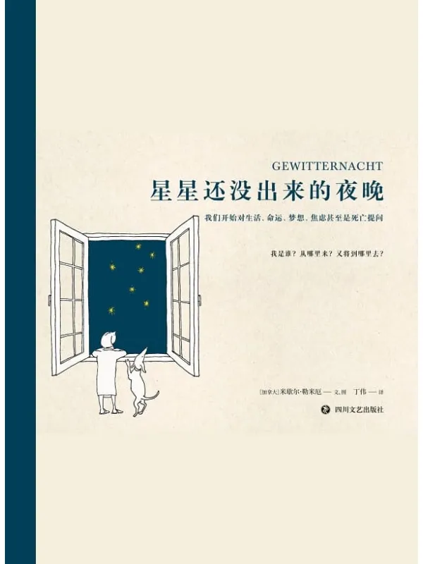 《星星还没出来的夜晚》米歇尔·勒米厄【文字版_PDF电子书_】 《星星还没出来的夜晚》封面图片