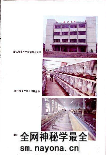 《浙江省供销合作社志》.pdf电子版_浙江省志预览图4 《浙江省供销合作社志》.pdf电子版_浙江省志预览图4