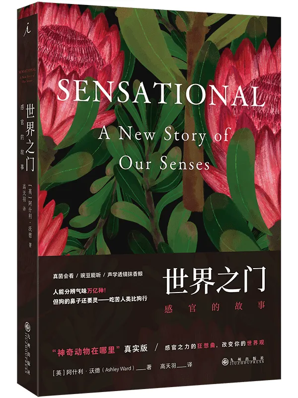 《世界之门:感官的故事》阿什利·沃德【文字版_PDF电子书_】 《世界之门:感官的故事》封面图片