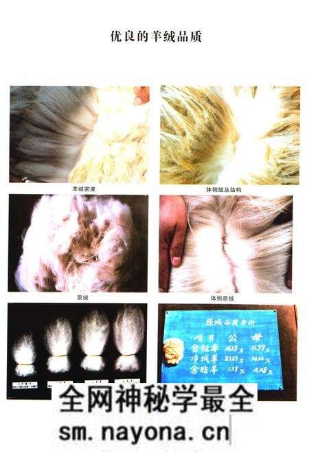 《《辽宁绒山羊育种志》(1980-2008)》.pdf电子版_辽宁省志预览图5