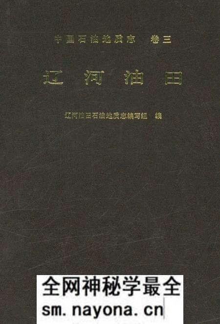 《中国石油地质志 卷三 辽河油田》.pdf电子版_辽宁省志预览图