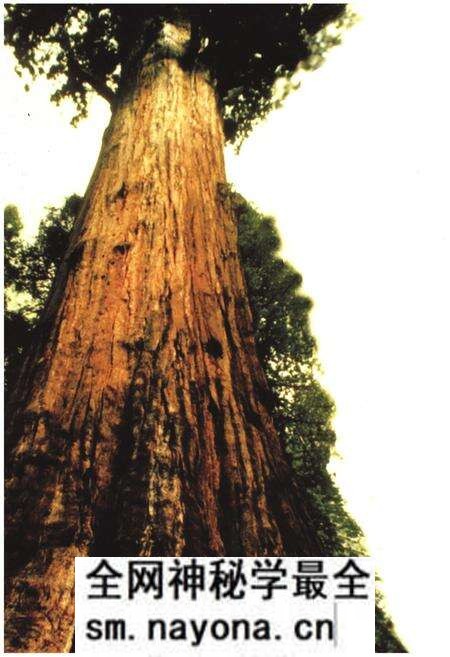 《大足一中志1956-2006》.pdf电子版_重庆市志预览图4 《大足一中志1956-2006》.pdf电子版_重庆市志预览图4