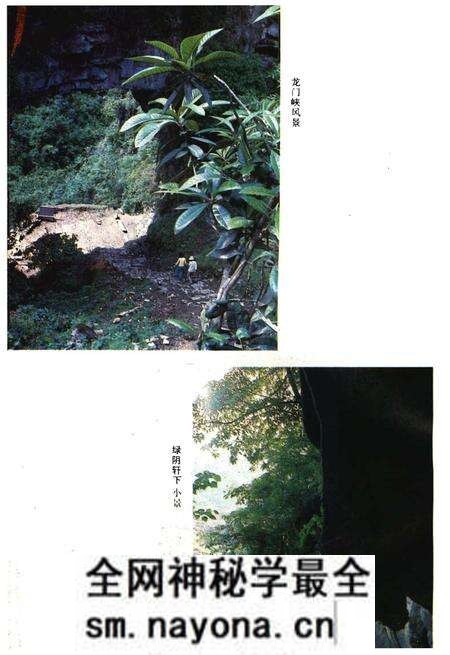 《彭水苗族土家族自治县概况》.pdf电子版_重庆市志预览图5