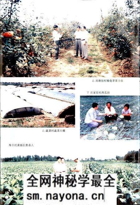 《昌图县三江口镇志》.pdf电子版_辽宁省志预览图4 《昌图县三江口镇志》.pdf电子版_辽宁省志预览图4