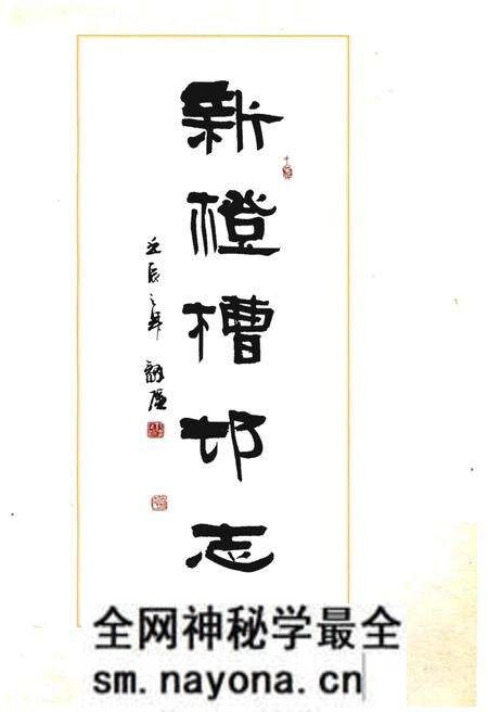 《新橙槽村志》.pdf电子版_宁夏回族自治区志预览图2 《新橙槽村志》.pdf电子版_宁夏回族自治区志预览图2