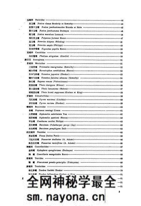 《大连海产软体动物(誌)》.pdf电子版_辽宁省志预览图5 《大连海产软体动物(誌)》.pdf电子版_辽宁省志预览图5