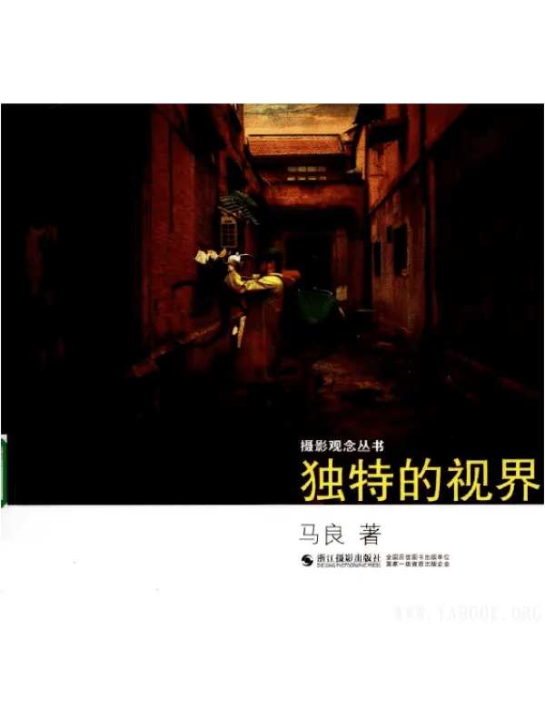 《独特的视界》封面图片