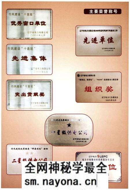 《盘锦电业局志》.pdf电子版_辽宁省志预览图4 《盘锦电业局志》.pdf电子版_辽宁省志预览图4