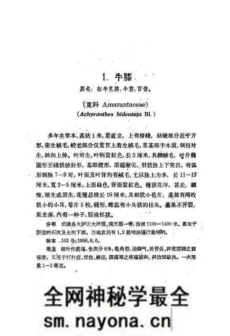 《四川省武隆县火炉区药用植物图志》.pdf电子版_重庆市志预览图5 《四川省武隆县火炉区药用植物图志》.pdf电子版_重庆市志预览图5
