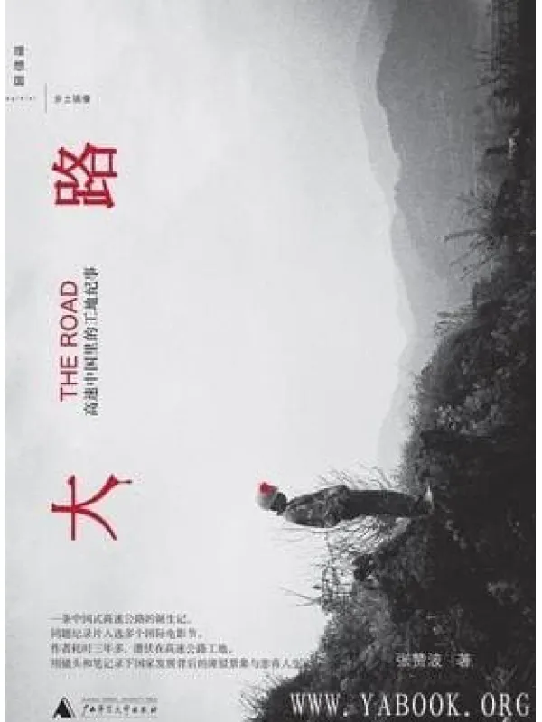 《大路：高速中国里的工地纪事》封面图片