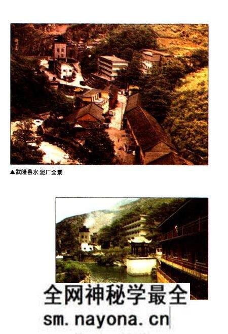 《四川省武隆县水泥厂志》.pdf电子版_重庆市志预览图5