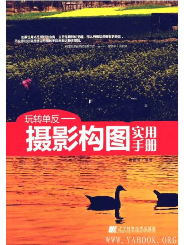 《玩转单反 摄影构图实用手册》封面图片