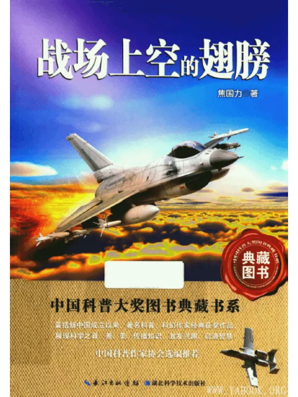 《战场上空的翅膀》封面图片