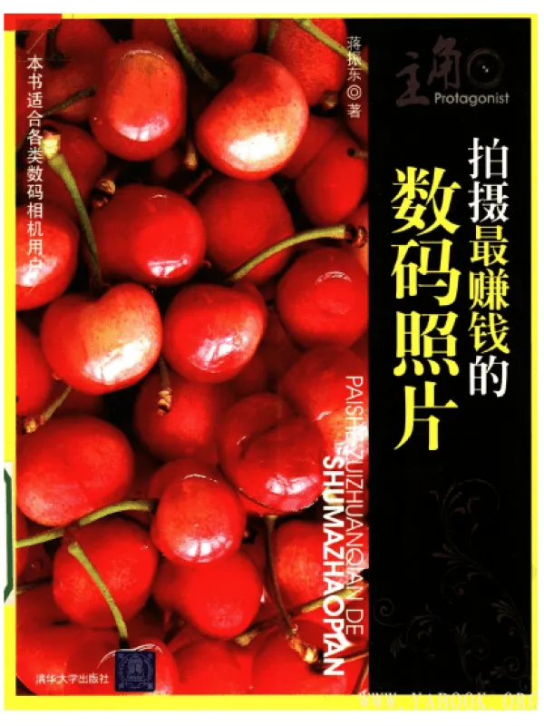 《主角-拍摄最赚钱的数码照片》封面图片