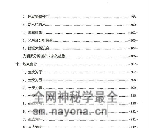 A2342夏光明命理直播笔记2.0 PDF电子书499页 秘传绝技