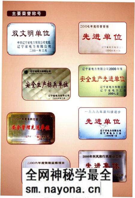 《盘锦电业局志》.pdf电子版_辽宁省志预览图3 《盘锦电业局志》.pdf电子版_辽宁省志预览图3
