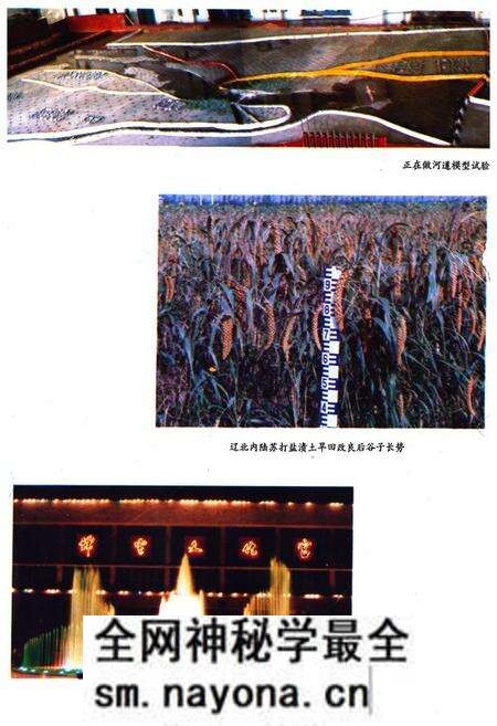 《辽宁省水利水电科学研究所所志》.pdf电子版_辽宁省志预览图5 《辽宁省水利水电科学研究所所志》.pdf电子版_辽宁省志预览图5