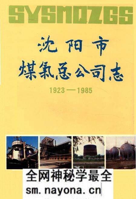 《沈阳市煤气总公司志1923-1985》.pdf电子版_辽宁省志预览图 《沈阳市煤气总公司志1923-1985》.pdf电子版_辽宁省志预览图