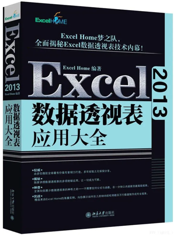 《Excel数据透视表应用大全》封面图片