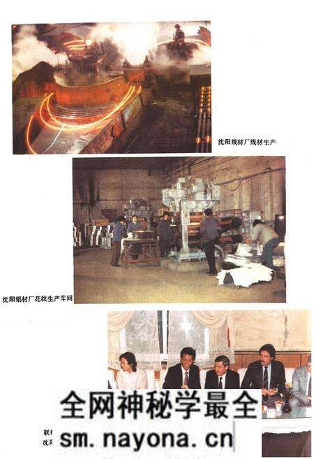 《沈阳冶金工业志(1933-1985)》.pdf电子版_辽宁省志预览图5