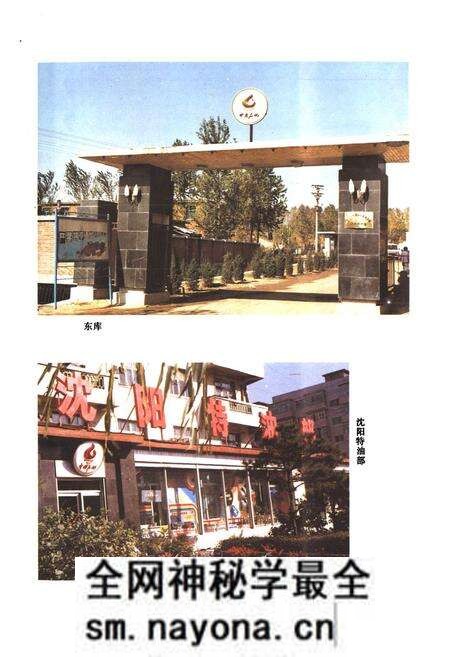 《沈阳市石油公司志一九五一——一九八七》.pdf电子版_辽宁省志预览图4