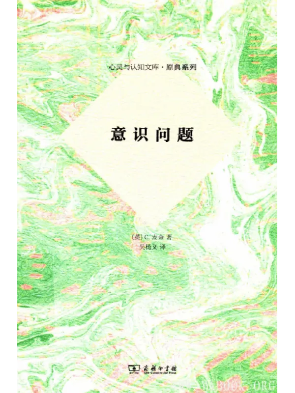 《意识问题》封面图片