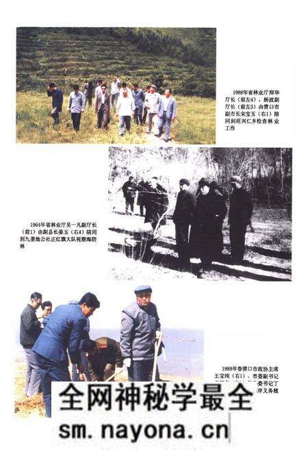 《盖州市林业志》.pdf电子版_辽宁省志预览图3 《盖州市林业志》.pdf电子版_辽宁省志预览图3
