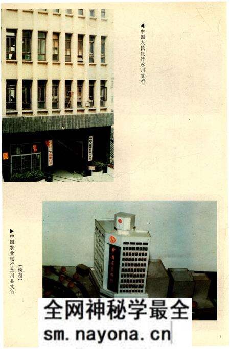 《永川县金融志1911-1988》.pdf电子版_重庆市志预览图4