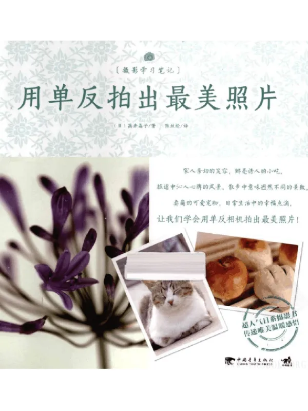 《用单反拍出最美照片》封面图片