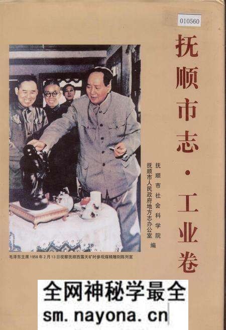 《抚顺市志·工业卷》.pdf电子版_辽宁省志预览图