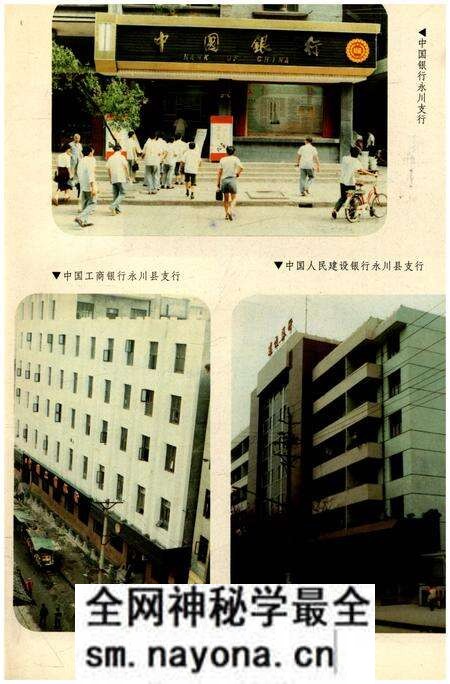 《永川县金融志1911-1988》.pdf电子版_重庆市志预览图5