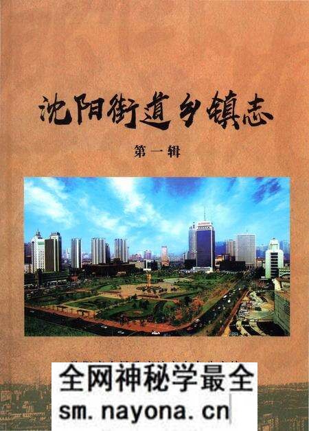 《沈阳街道乡镇志 第一辑》.pdf电子版_辽宁省志预览图