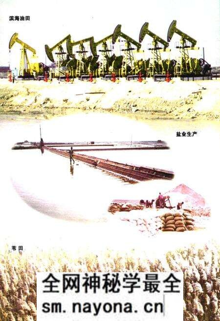 《《凌海市海洋与渔业志》》.pdf电子版_辽宁省志预览图4