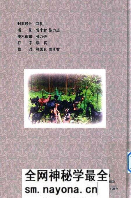 《维新镇志》.pdf电子版_重庆市志预览图2 《维新镇志》.pdf电子版_重庆市志预览图2