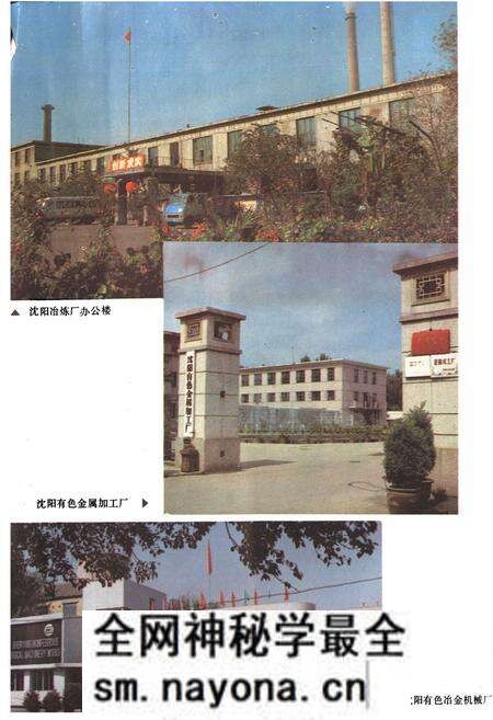 《沈阳冶金工业志(1933-1985)》.pdf电子版_辽宁省志预览图3