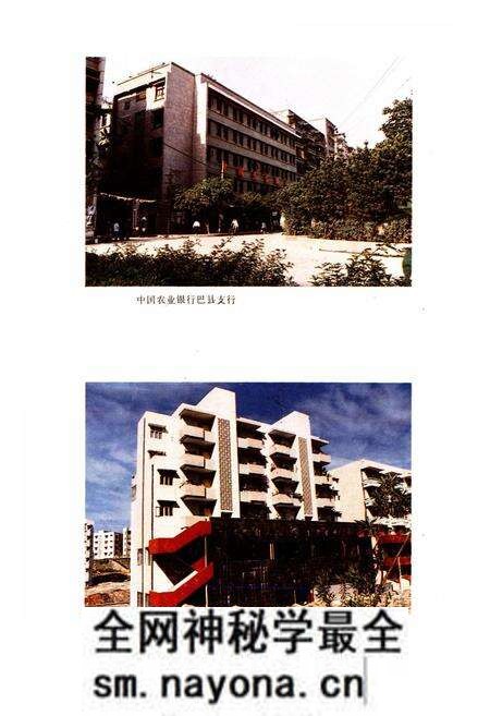 《巴县金融志(1911-1985)》.pdf电子版_重庆市志预览图4 《巴县金融志(1911-1985)》.pdf电子版_重庆市志预览图4