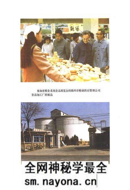 《锦州市粮食志》.pdf电子版_辽宁省志预览图4 《锦州市粮食志》.pdf电子版_辽宁省志预览图4