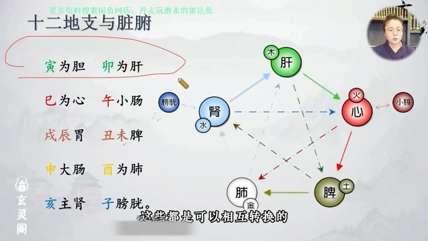 知易而行《知易而行 信笛 六爻专业课完整版40集》视频40集