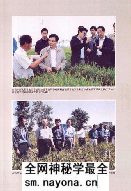 《《稻作研究所所志(1956-2005)》》.pdf电子版_辽宁省志预览图3 《《稻作研究所所志(1956-2005)》》.pdf电子版_辽宁省志预览图3