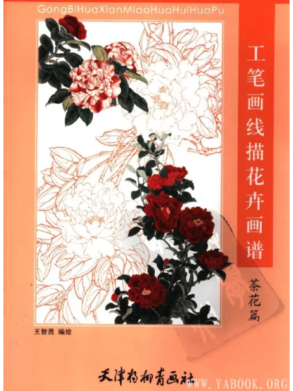 《工笔画线描花卉画谱(茶花篇)》封面图片
