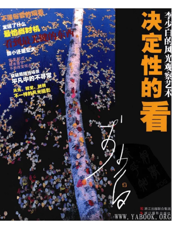 《决定性的看 李少白的风光观察艺术》封面图片