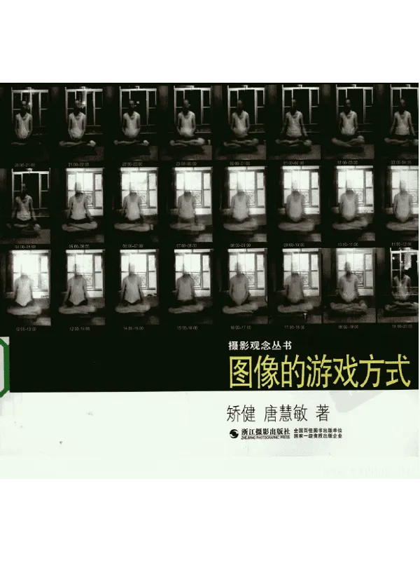 《图像的游戏方式》封面图片