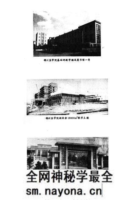 《锦州医学院科技志(1958~1988)》.pdf电子版_辽宁省志预览图4 《锦州医学院科技志(1958~1988)》.pdf电子版_辽宁省志预览图4