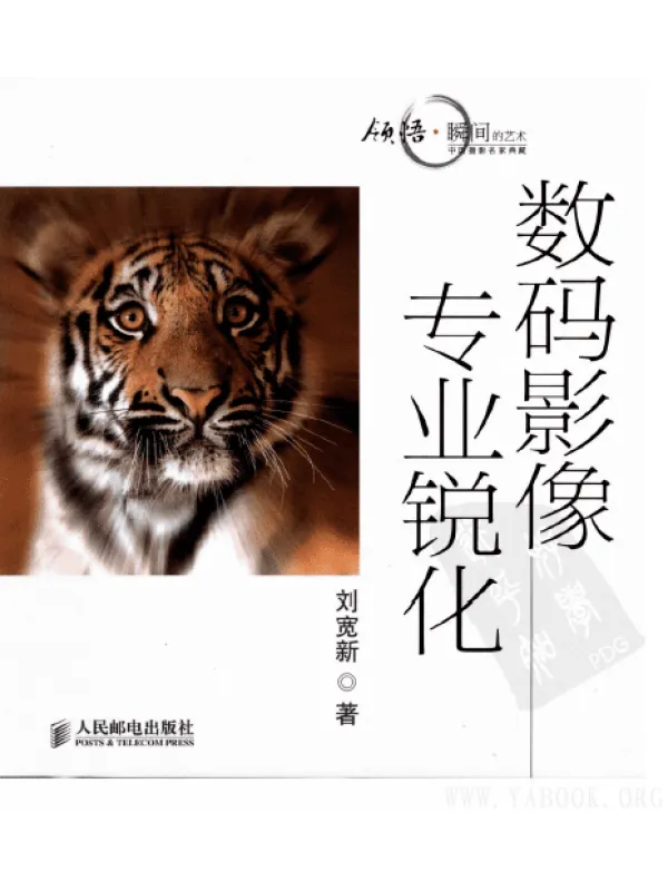 《数码影像专业锐化》封面图片
