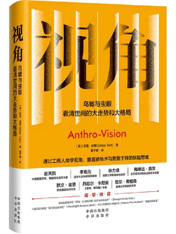 《视角：鸟瞰与虫眼》封面图片