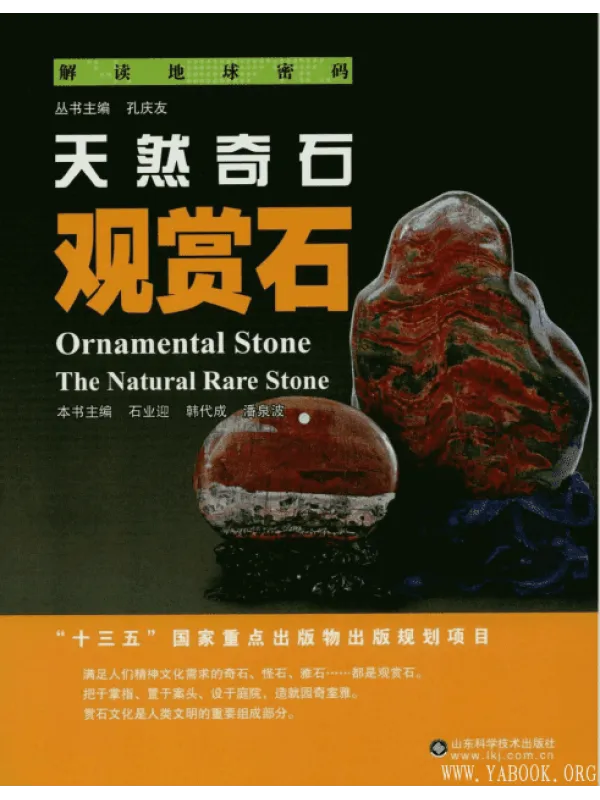 《解读地球密码：天然奇石——观赏石》封面图片